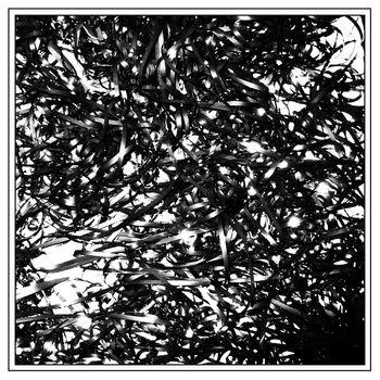 Portada de Álbum "Midcity", de Clipping