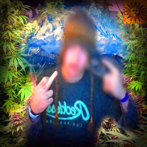 Portada de Álbum "The Peak", de SmokeDope2016