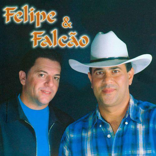 Album cover of "Vol.8" by Felipe e Falcão