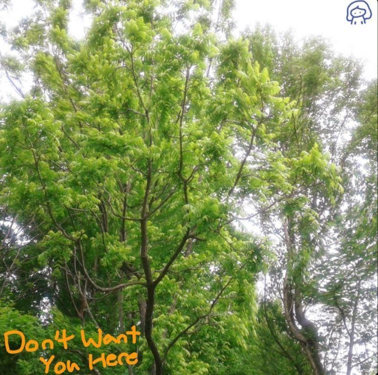 Single/EP cover of "Don't Want You Here" by Frostix