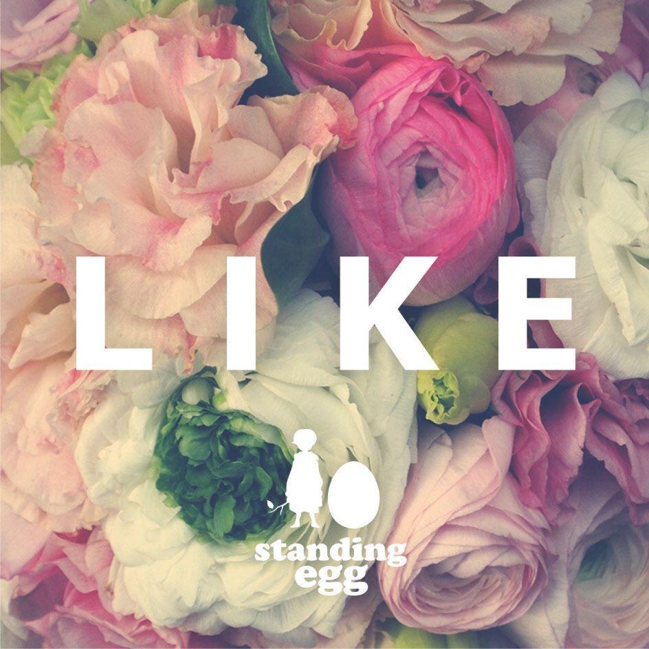 Capa do Álbum "LIKE", de Standing Egg
