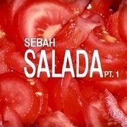 Portada de Álbum "Salada, Pt. 1", de Sebah