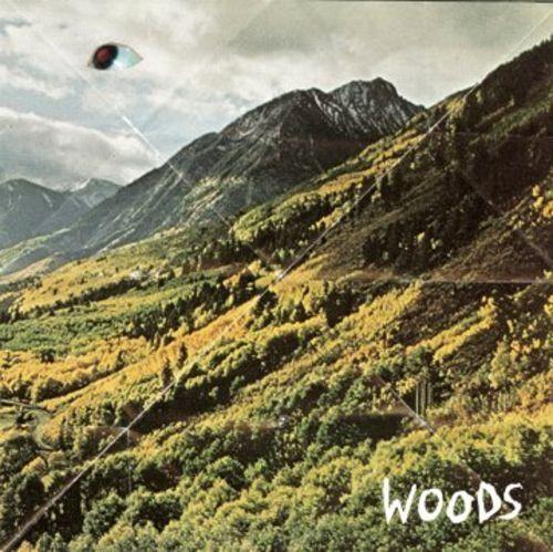 Capa do Álbum "Songs of Shame", de Woods