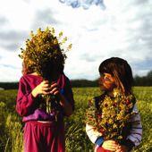 Capa do Álbum "Honey", de Open Hand