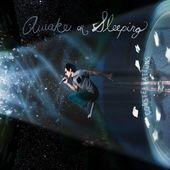 Portada de Sencillo/EP "Constellations", de Awake or Sleeping