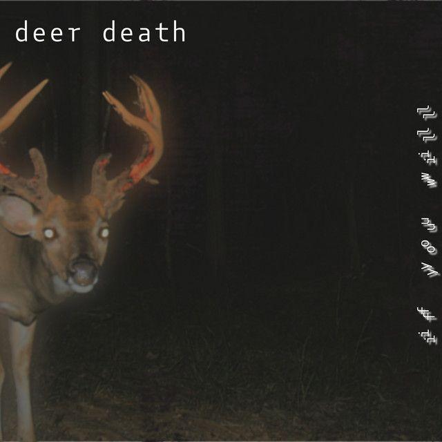Album cover of "if you will" by deer death