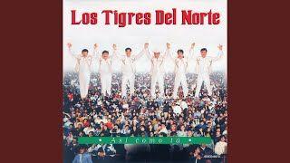 Portada de Álbum "Así Como Tú", de Los Tigres del Norte
