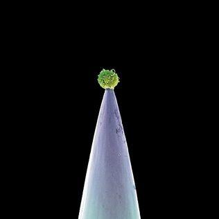 Portada del álbum "New Blood", de Peter Gabriel
