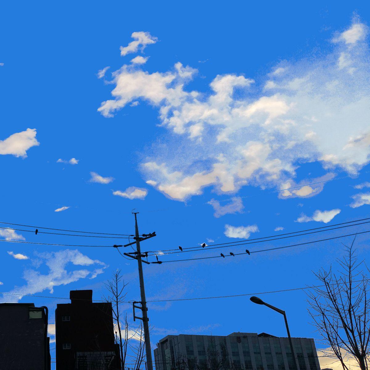 Portada de Sencillo/EP "White Ceiling / Black Dots Wandering Around", de Parannoul