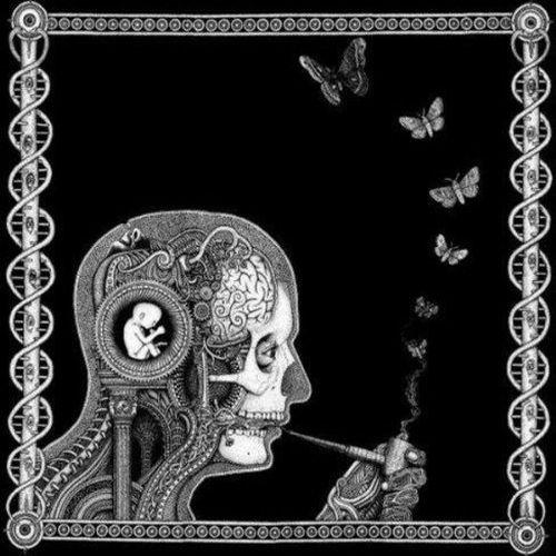 Portada de Álbum "Cognitive", de Soen