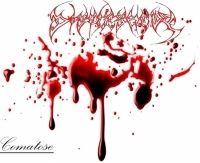 Portada de Álbum "Comatose", de Disfleshedy