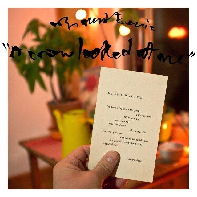 Capa do Álbum "A Crow Looked at Me", de Mount Eerie