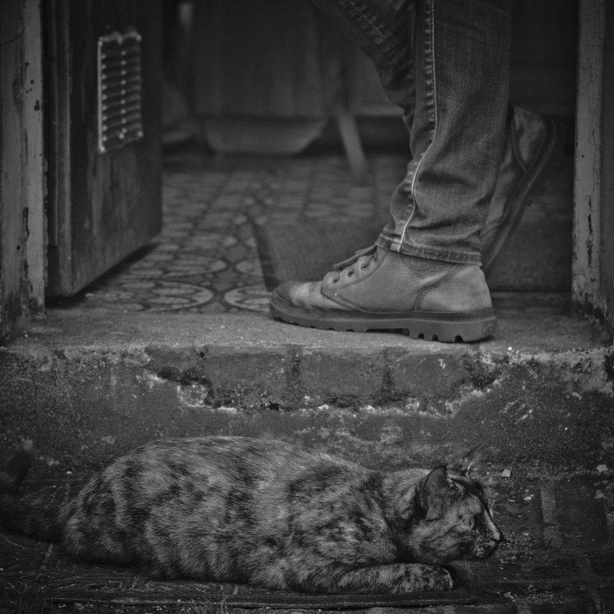 Portada de Álbum "Mehaa", de Mehaa