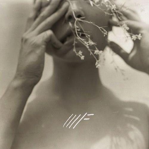 Portada de Álbum "You Knew", de Mother Falcon