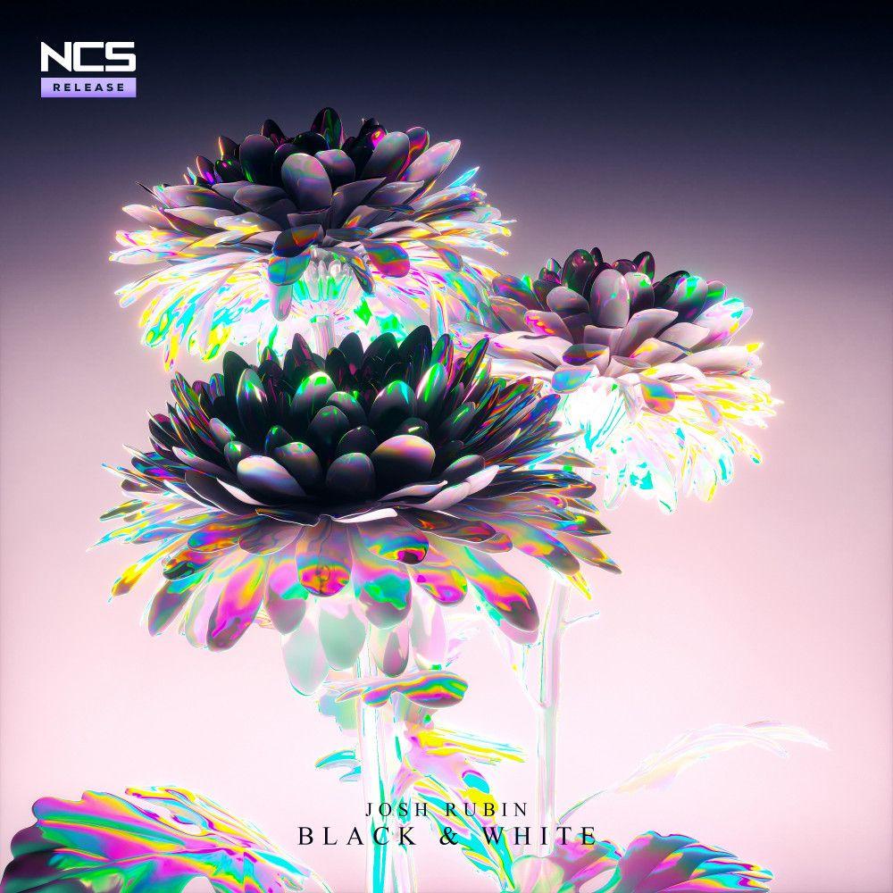 Portada de Sencillo/EP "Black And White", de Josh Rubin