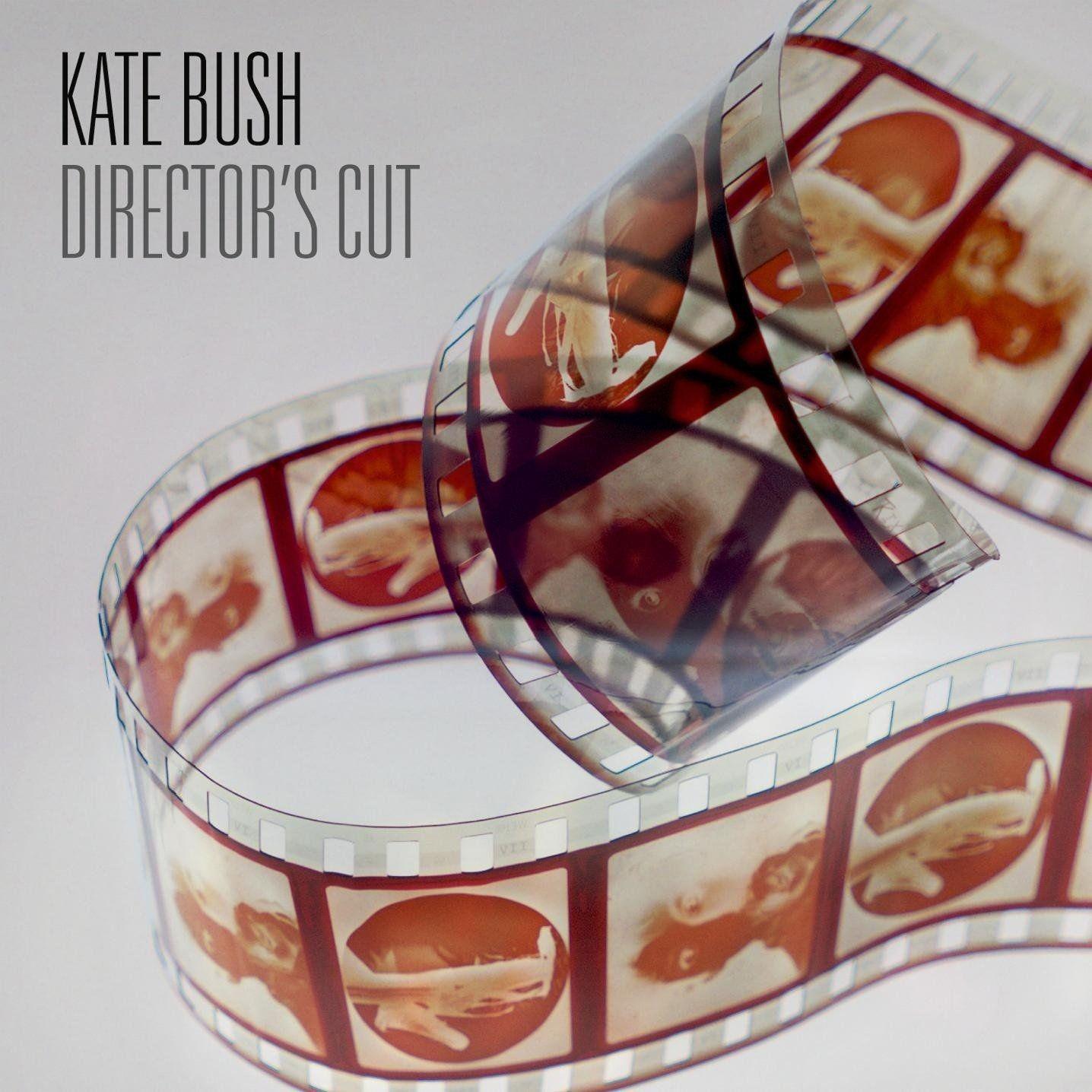Capa do Álbum "Director's Cut", de Kate Bush
