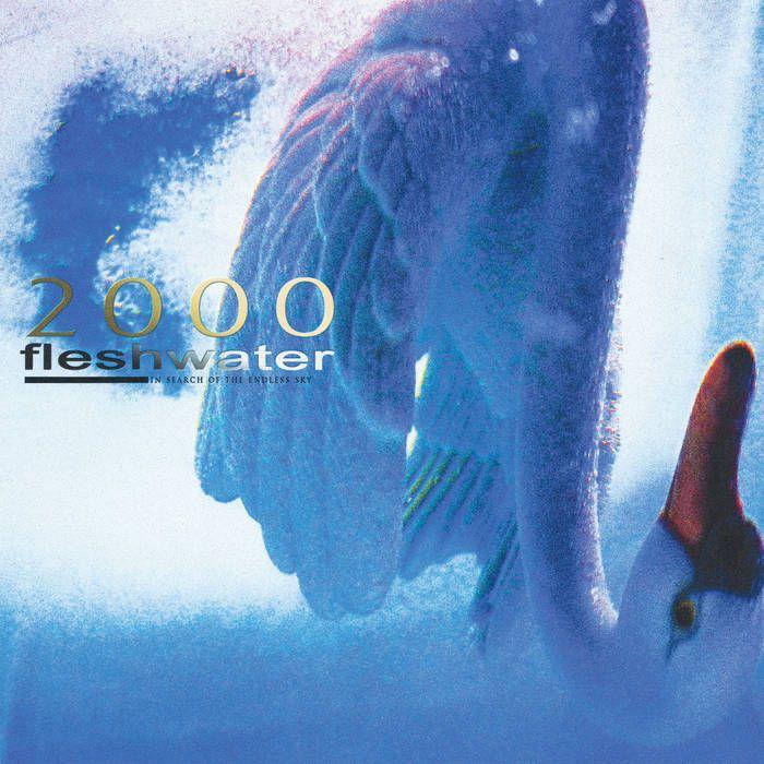 Capa do Álbum "2000: In Search of the Endless Sky", de Fleshwater