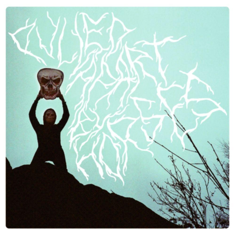 Portada de Álbum "Pulled Apart By Horses", de Pulled Apart by Horses