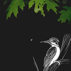 Portada de Sencillo/EP "leaves", de woodpecc