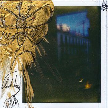 Portada de Sencillo/EP "The inner wasteland demos", de Maud The Moth