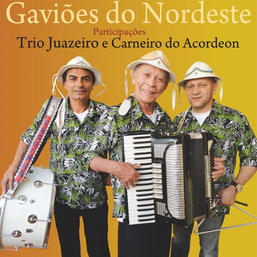 Portada de Álbum "Gaviões do Nordeste - 2012", de Gaviões do Nordeste
