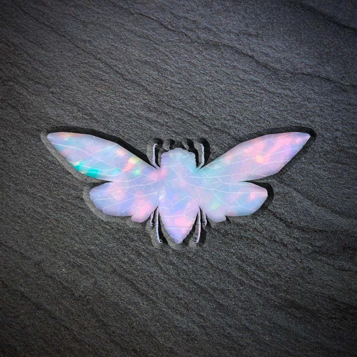 Portada de Sencillo/EP "Metamorphosis", de Blank Banshee