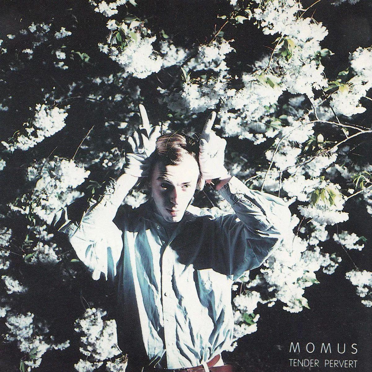 Capa do Álbum "Tender Pervert", de Momus