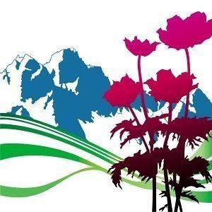 Portada de Álbum "International", de New Order