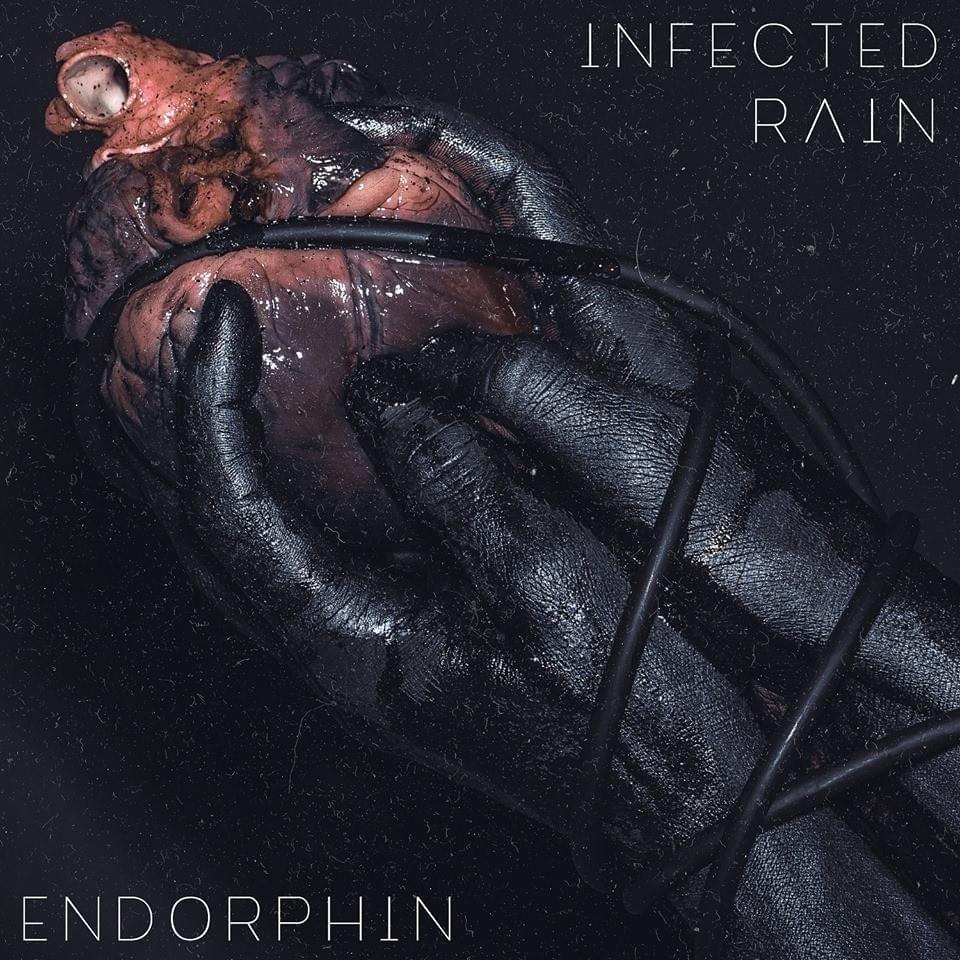 Portada de Álbum "Endorphin", de Infected Rain
