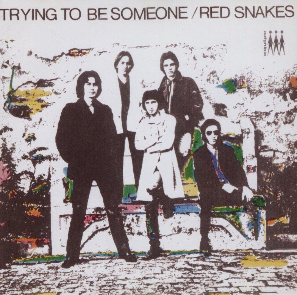 Portada de Álbum "Trying To Be Someone", de The Red Snakes
