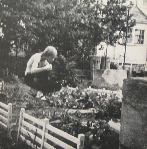 Capa do álbum "Telegraph Melts", de Jandek