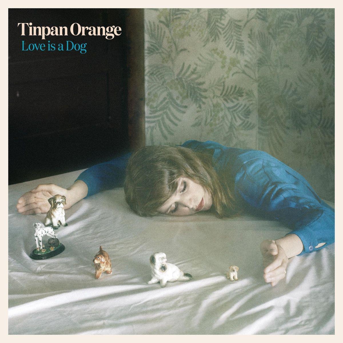 Portada de Álbum "Love Is A Dog", de Tinpan Orange