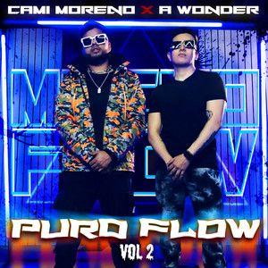 Portada de Sencillo/EP "Puro Flow (part. A Wonder) (Vol. 2)", de Cami Moreno