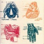 Capa do Álbum "Vena Cava", de Down And Above