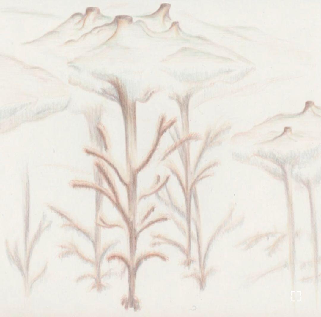 Capa do Single/EP "Neverland", de Molina