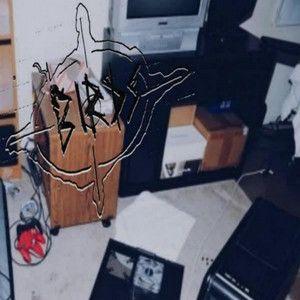 Portada de Sencillo/EP "birds", de Heelflip