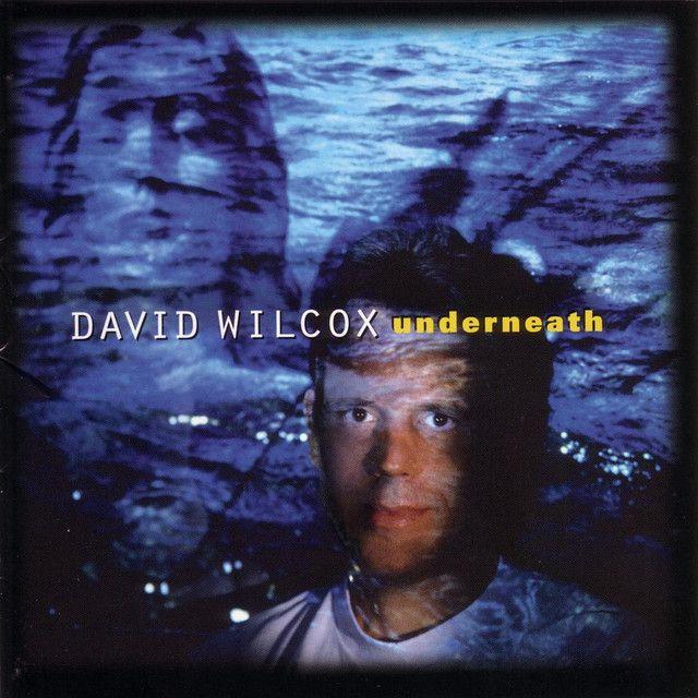 Portada de Álbum " Underneath", de David Wilcox