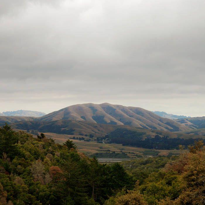 Album cover of "Mount Wittenberg Orca" by Björk