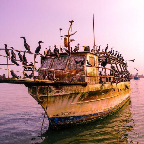 Portada de Álbum "Depois do Fim", de Beto Bruno