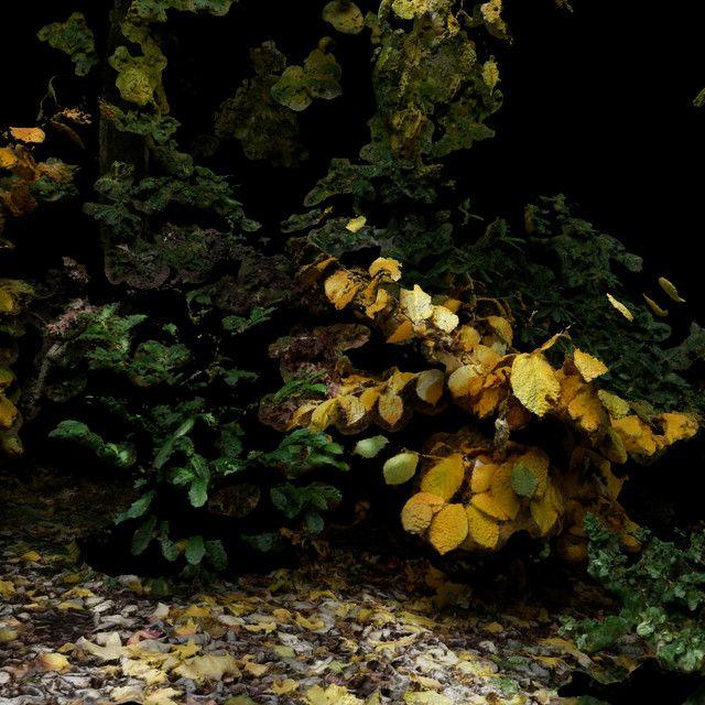 Capa do Single/EP "For The Beasts", de Oklou