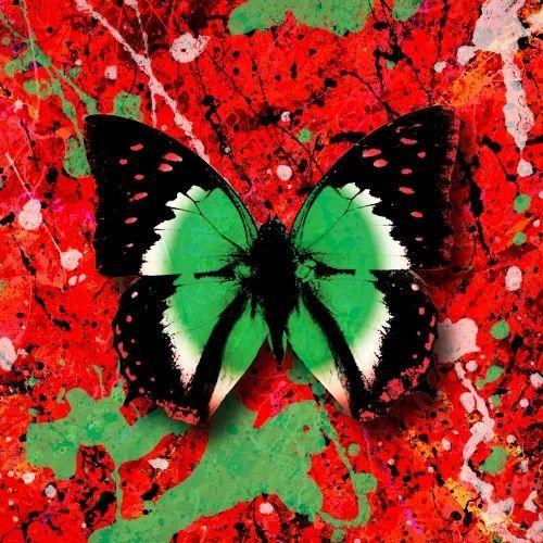 Portada del álbum "2step (feat. Ultimo)", de Ed Sheeran
