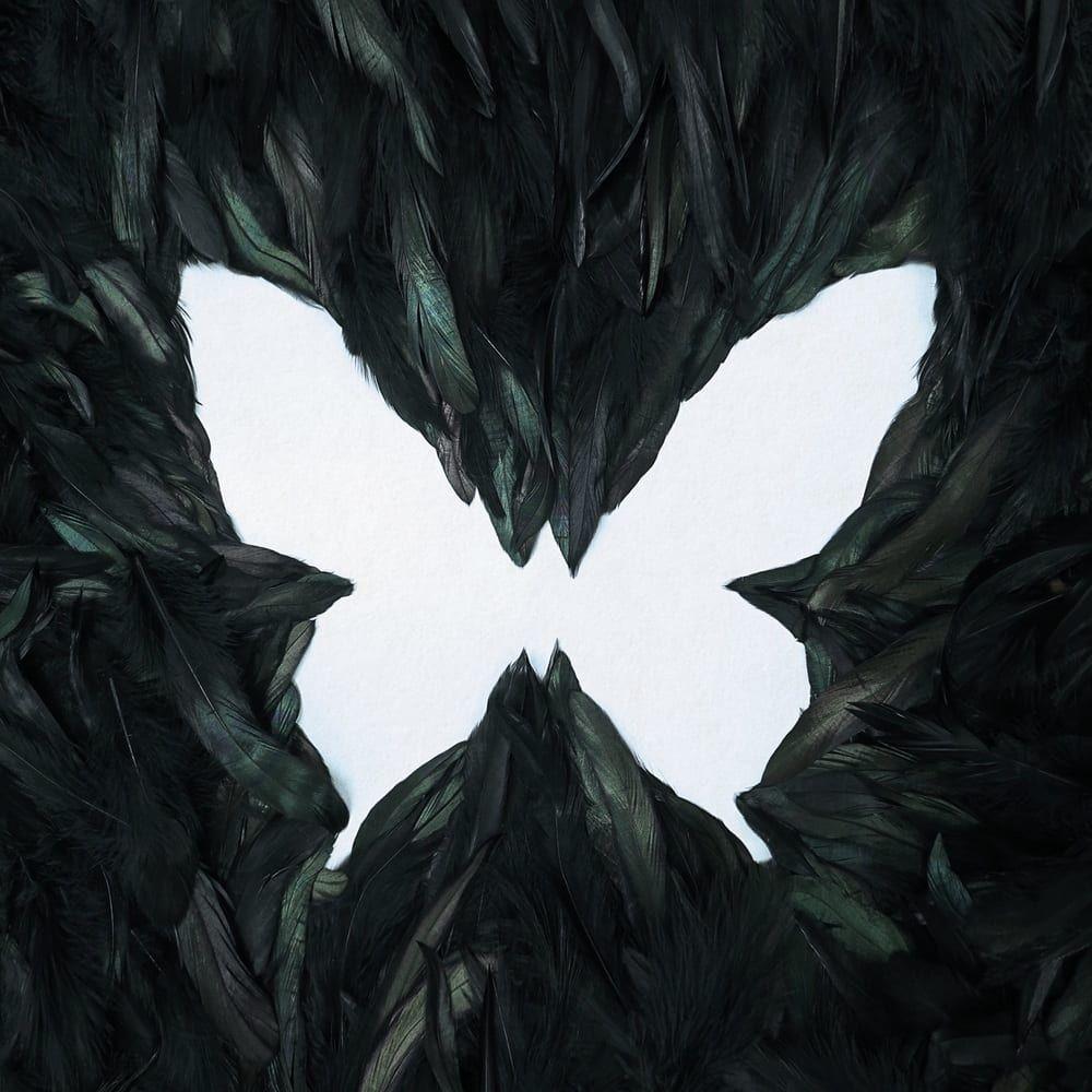 Portada de Sencillo/EP "SOAR", de Jung Jinhyeong