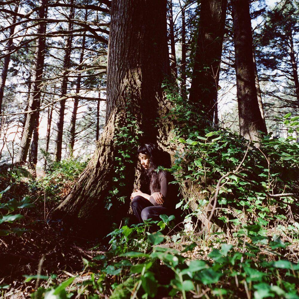 Portada de Sencillo/EP "Foxglove", de Haley Heynderickx