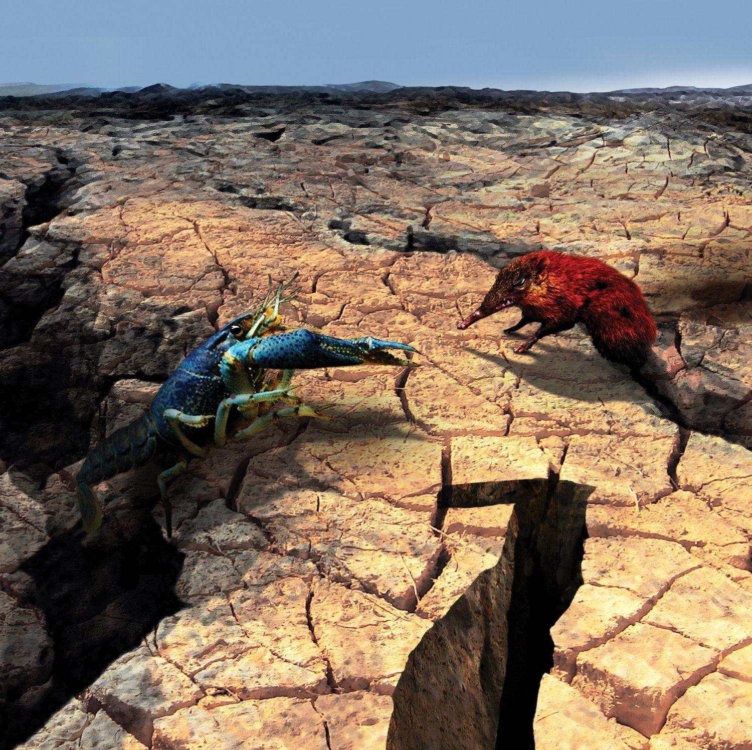 Capa do Álbum "Number Seven", de Phideaux