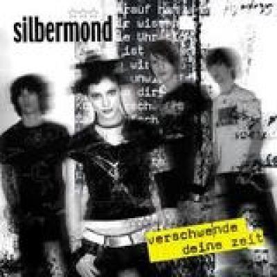 Portada de Álbum "Verschwende Deine Zeit", de Silbermond