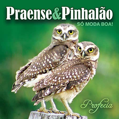 Portada de Álbum "Só Moda Boa - Profecia", de Praense e Pinhalão
