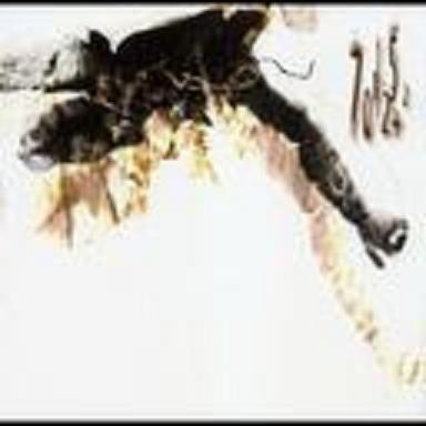 Portada de Álbum "701125+2", de deadman 死人