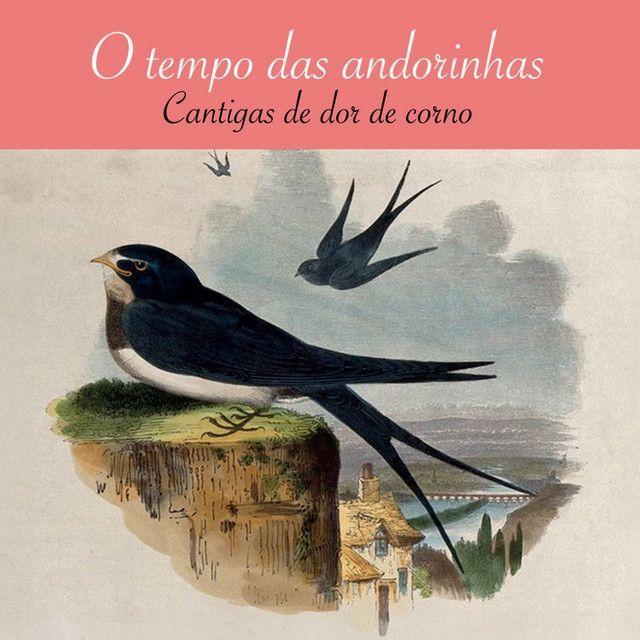 Portada de Álbum "O tempo das andorinhas - Cantigas de dor de corno", de Manuel João Vieira