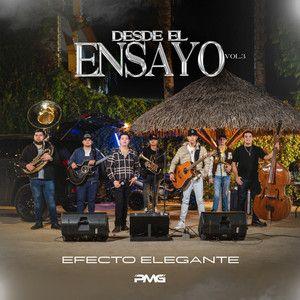 Portada de Álbum "Desde El Ensayo, Vol. 3", de Efecto Elegante