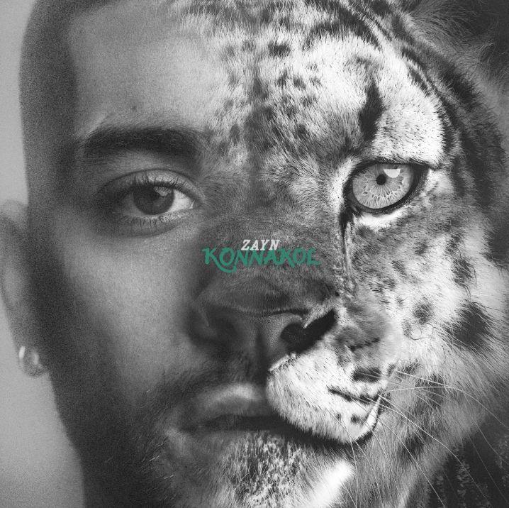 Cover for Single/EP "Die For Me" by ZAYN